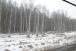 resIMG_20070315_1196.JPG